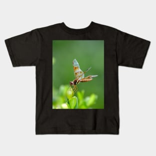 A Gentle Landing Kids T-Shirt